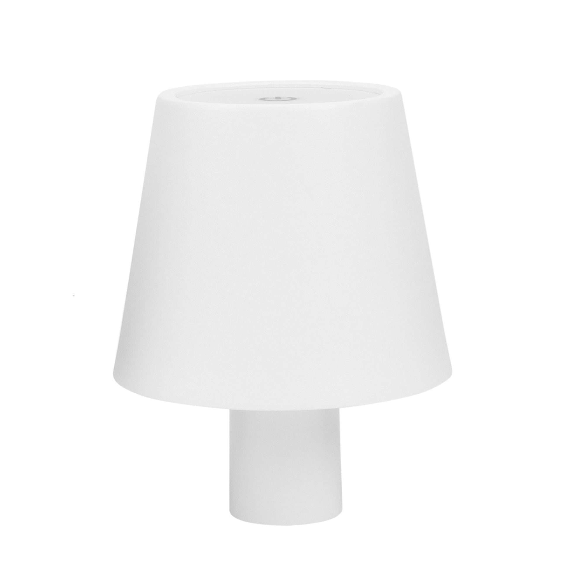 Fleslamp | (set van 2)